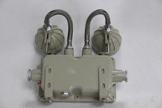ATEX Explosion-proof LED Emergency Light 220VAC 50HZ 24VDC IP66 Explosion-proof Lamp Double Head