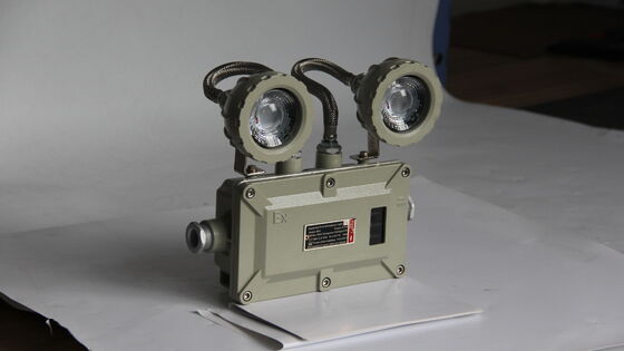 ATEX × CNEX 220VAC 50Hz CCT 4500-6500K কাস্টমাইজযোগ্য বিস্ফোরণ প্রতিরোধী জরুরী আলো