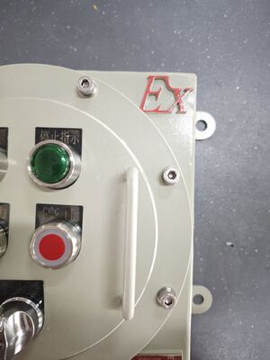 220V/380V ইলেকট্রিক্যাল অ্যালুমিনিয়াম খাদ/কার্বন ইস্পাত ফ্লেমপ্রুফ কন্ট্রোল প্যানেল জোন1/জোন 21 এর জন্য বিস্ফোরণ প্রুফ ব্রেকার প্যানেল ক্যাবিনেট