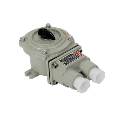 গরম বিক্রয় AC220V/380V অ্যালুমিনিয়াম খাদ বিস্ফোরণ প্রতিরোধী পরিবর্তন সুইচ 5 বছর ওয়ারেন্টি Atex